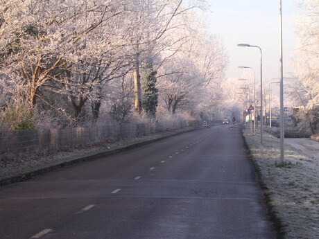 weg in de sneeuw.,.