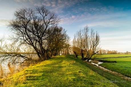 Tongplaat - Dordrecht