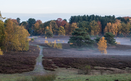 Mist op de Brunssummerheide