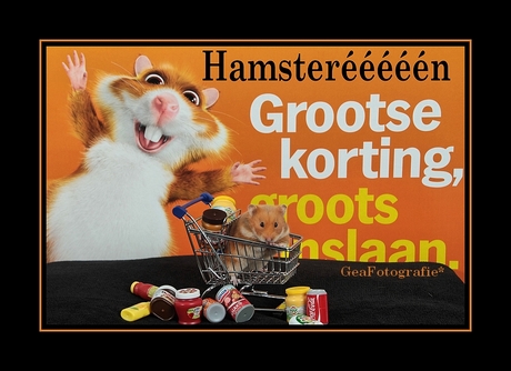 Hamsterééééén....*