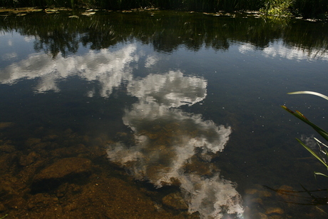 Bewolkt in het water