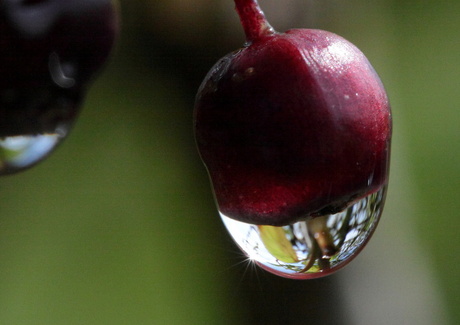 Net na de regen