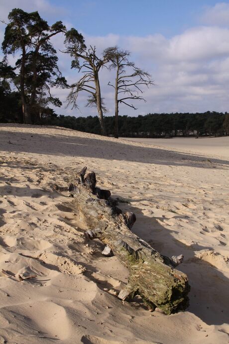 duinen