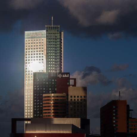 Rotterdam 36