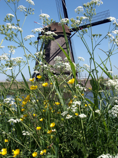 Daar bij die molen