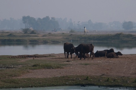 Dorp in Pakistan