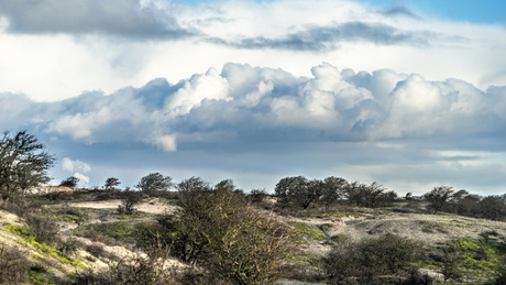 Wolkenpartij boven Noordwijkse duinen