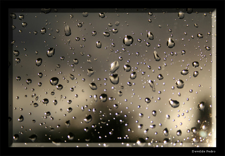 Wet and Strange ... Any guesses ?