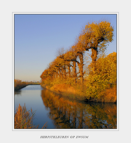 Herfstkleuren bij Ewsum