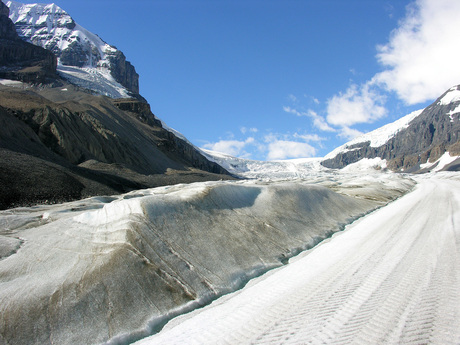 Columbian Ice Fields