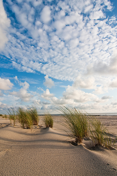 Uitwaaien op het strand