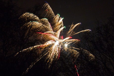 Wind, Vuurwerk, Bomen 2