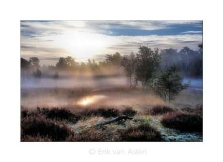 mysterie van de natuur