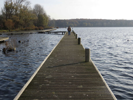 Steiger in het Kralingse bos