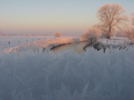 Winters landschap