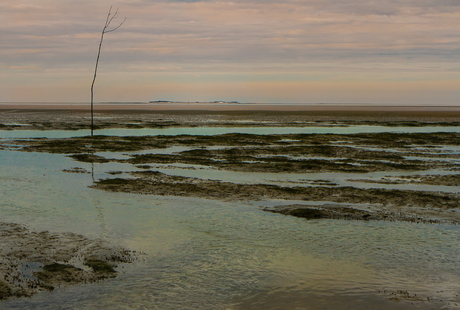 Eiland in de verte