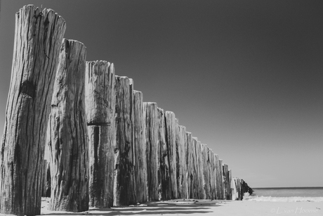 Day at the beach B&W