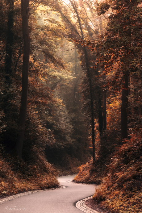 Autumn Road.