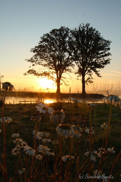 Prachtige zonsopkomst