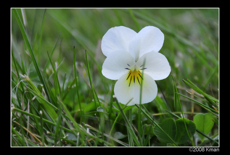 Eerste fletten in de tuin