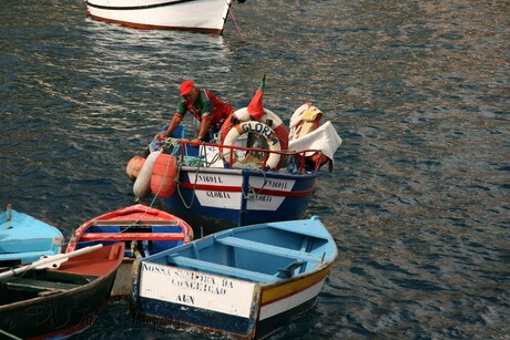 Visserman in de haven van Camara de Lobos.