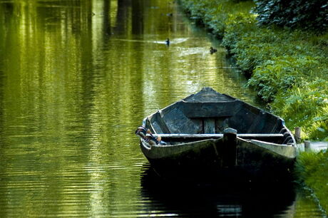 Gewoon een mooi plaatje