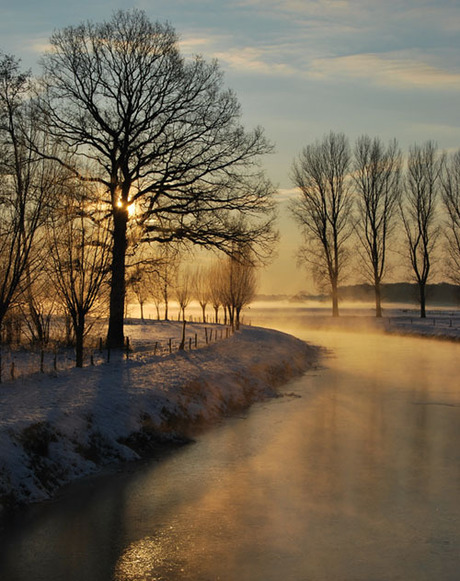 De Bovenmark bij Ulvenhout