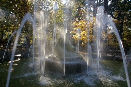 Berlin Zoo