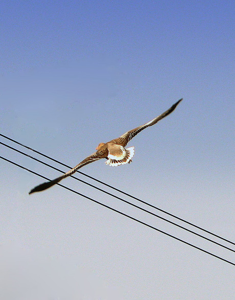 Op weg naar beter weer