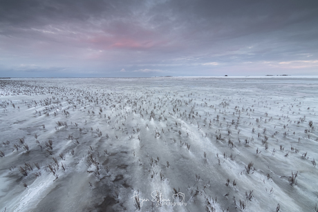 Poollandschap aan het Wad