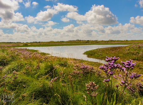 De Slufter Texel