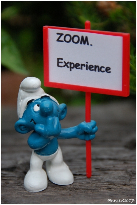 Zoom Experience