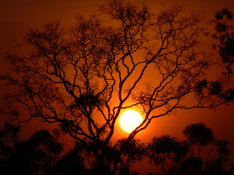 Kimberley zonsondergang in West Australië