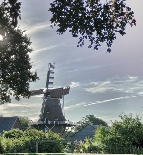 Molen