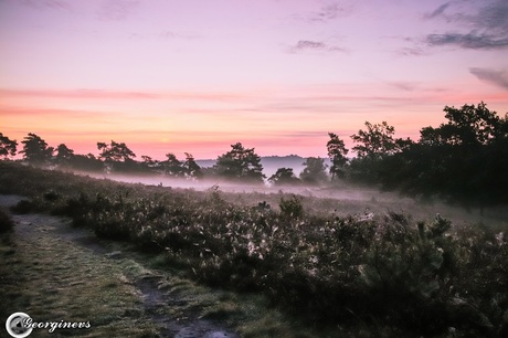 Brunssummerheide