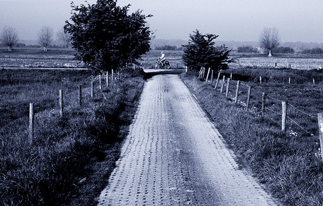 Fietser op landweg