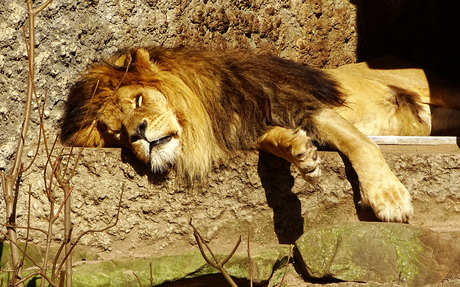 Niks te beleven hier