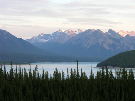 Abraham Lake