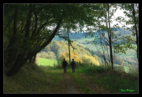 herfstwandeling