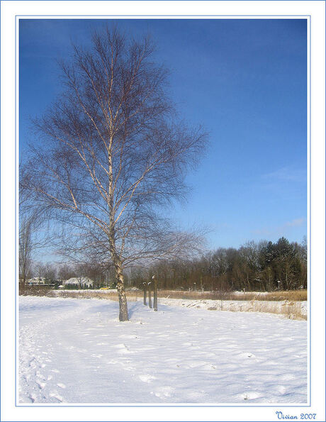 Winterlandschap 2