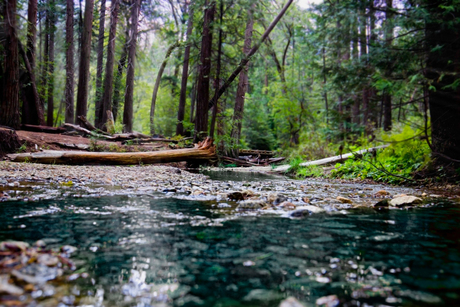 yosemite