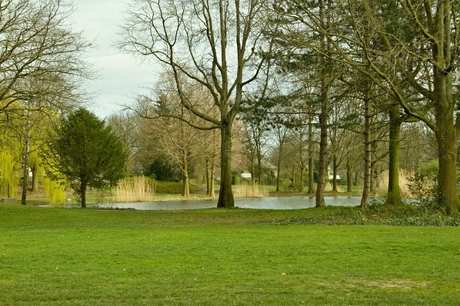 Wandeling in Park Esterveld, foto 8.
