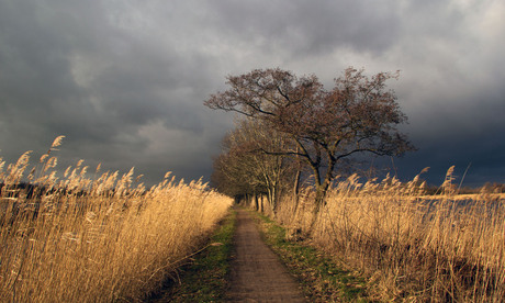 Stormy afternoon