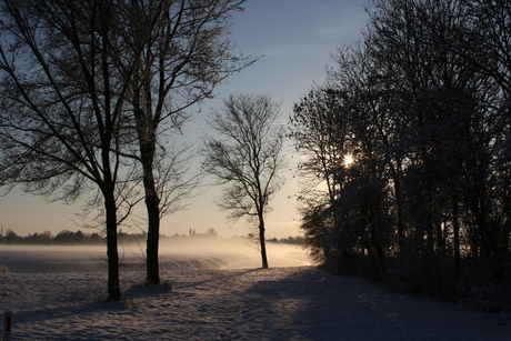 winter landschap
