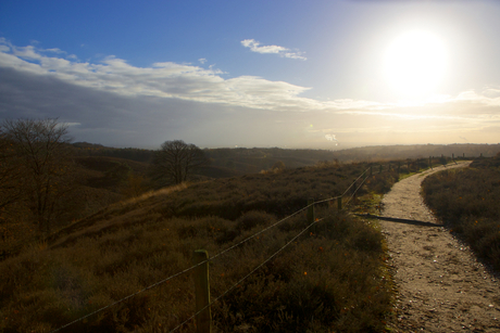 Koude herfstzon