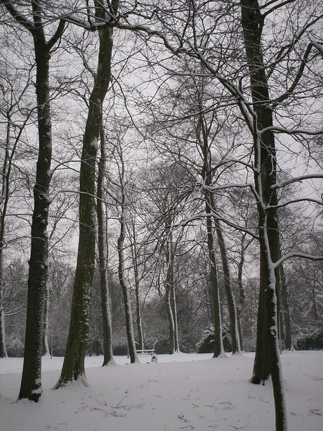 het park onder de sneeuw