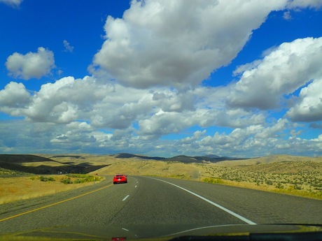 Montana skies