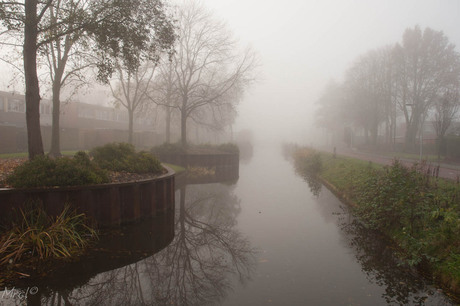 Autumn Fog Water .jpg