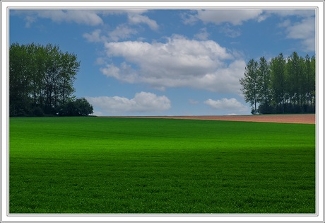 Haspengouws Landschap