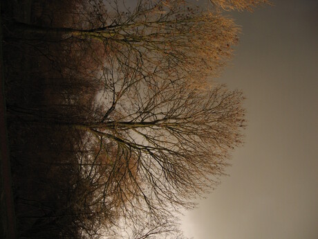 stilte voor de storm